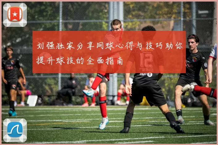 刘强独家分享网球心得与技巧助你提升球技的全面指南