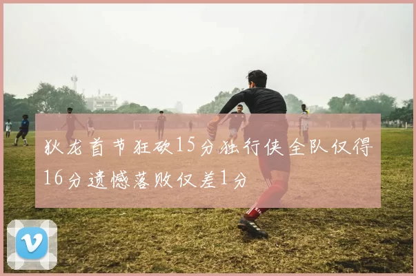 狄龙首节狂砍15分独行侠全队仅得16分遗憾落败仅差1分