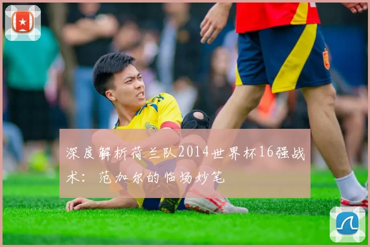 深度解析荷兰队2014世界杯16强战术:范加尔的临场妙笔