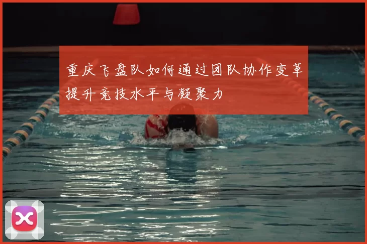 重庆飞盘队如何通过团队协作变革提升竞技水平与凝聚力