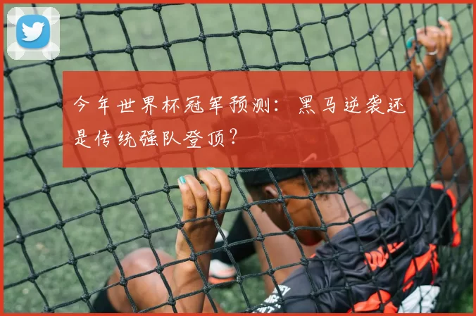 今年世界杯冠军预测：黑马逆袭还是传统强队登顶？