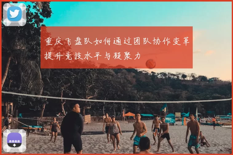 重庆飞盘队如何通过团队协作变革提升竞技水平与凝聚力