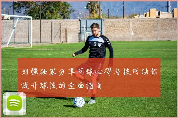 刘强独家分享网球心得与技巧助你提升球技的全面指南