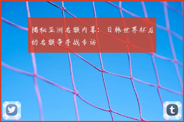 揭秘亚洲名额内幕:日韩世界杯后的名额争夺战专访