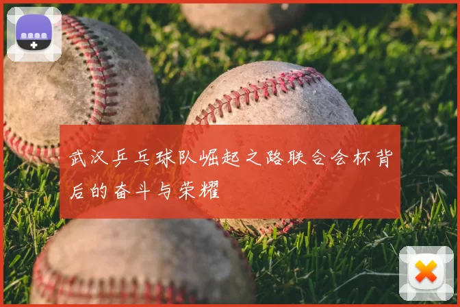 武汉乒乓球队崛起之路联合会杯背后的奋斗与荣耀