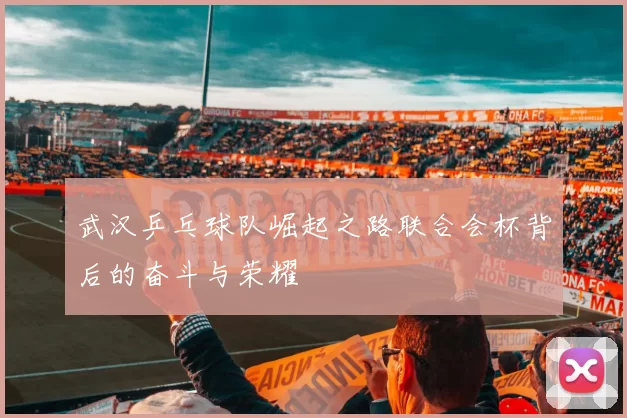 武汉乒乓球队崛起之路联合会杯背后的奋斗与荣耀