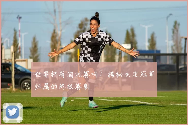 世界杯有淘汰赛吗？揭秘决定冠军归属的终极赛制