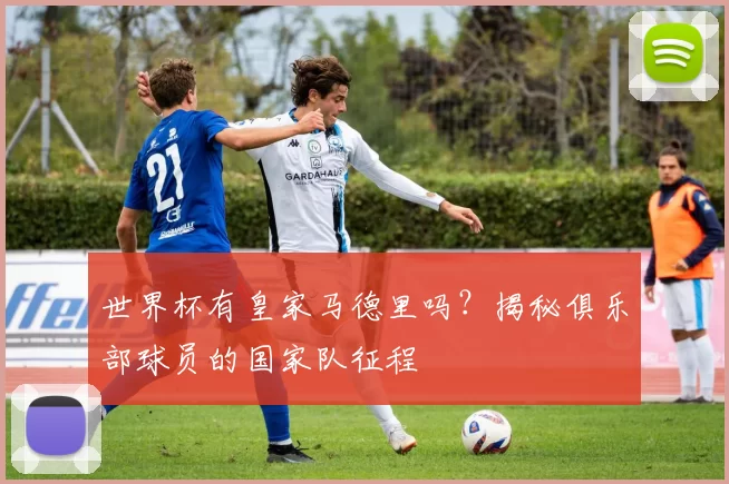 世界杯有皇家马德里吗？揭秘俱乐部球员的国家队征程