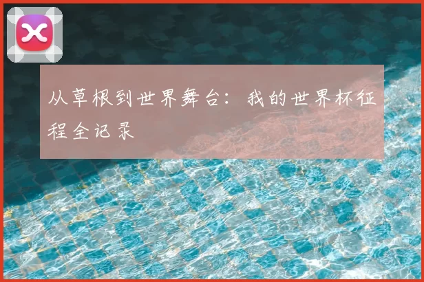 从草根到世界舞台:我的世界杯征程全记录