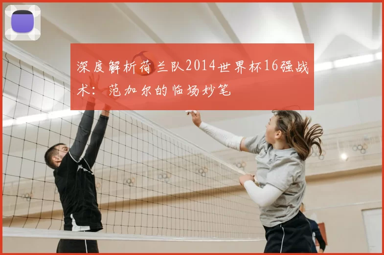 深度解析荷兰队2014世界杯16强战术：范加尔的临场妙笔
