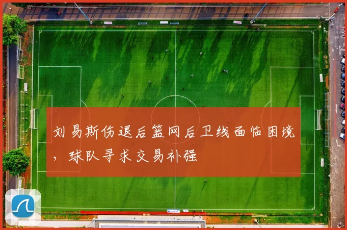 刘易斯伤退后篮网后卫线面临困境，球队寻求交易补强